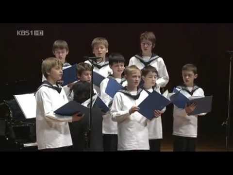 Vienna Boys Choir at Isaac Stern Auditorium